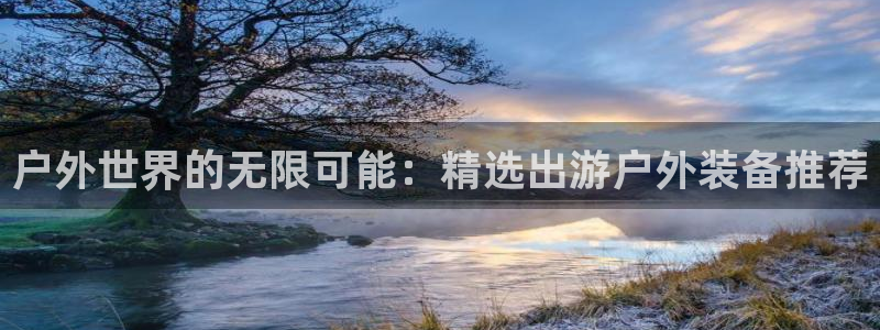 新宝 gg 登录注册