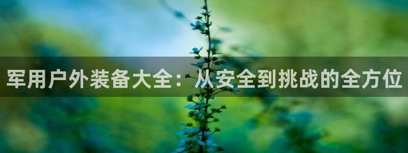 新宝gg赚钱