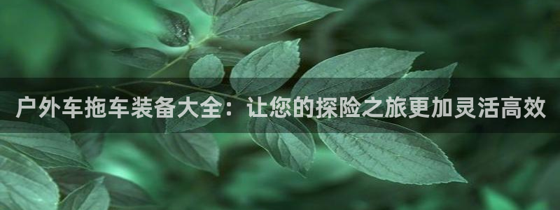 新宝gg违法