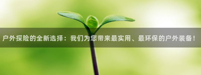 新宝gg注册登录网址
