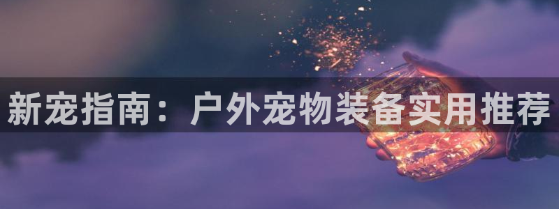 新宝gg-