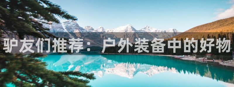新宝gg网点