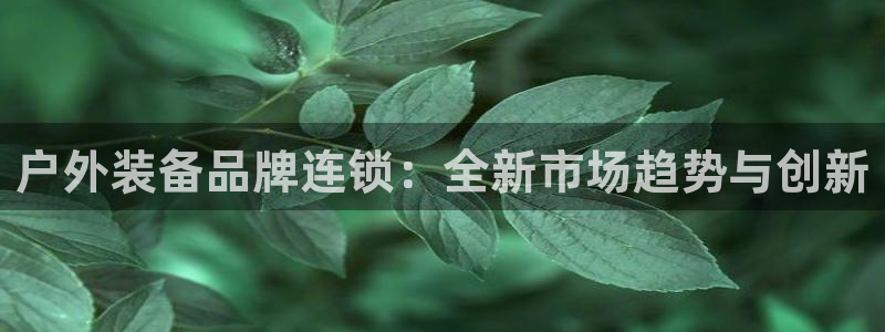 新宝娱乐gg