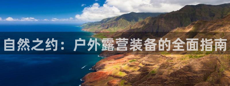 新宝gg真的