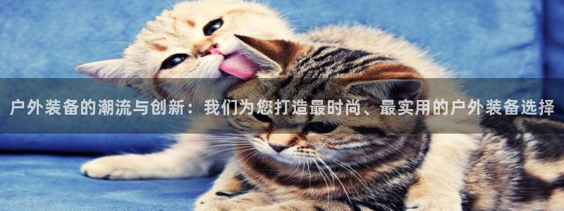 新宝gg一创造奇迹