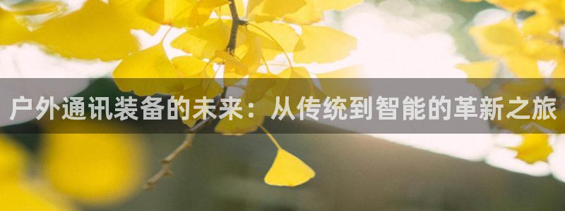 新宝gg平台开户
