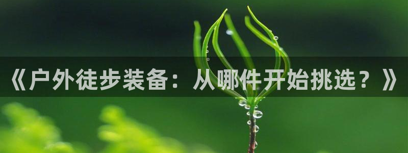 新宝gg网点