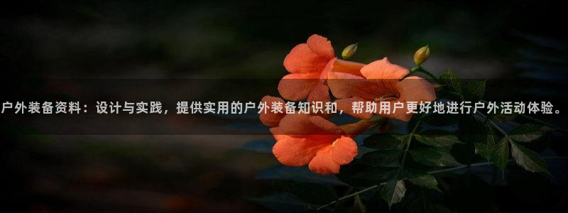 新宝gg指定平台