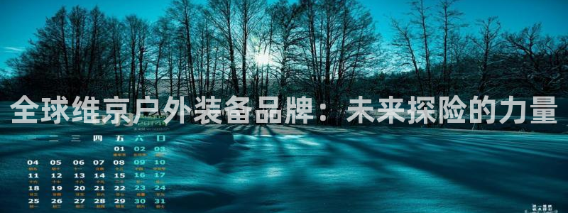 新宝gg 登录页面