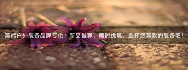 新宝gg平台连接