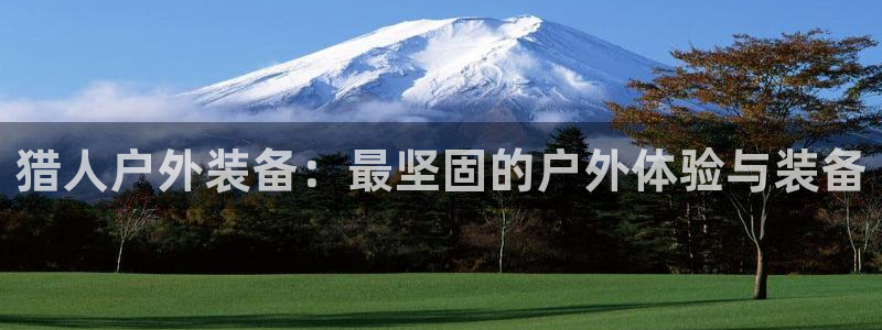 新宝gg测速登录