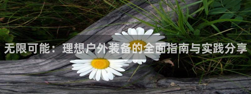 新宝gg平台连接