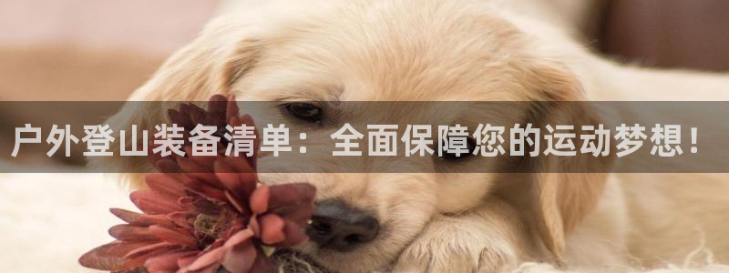 新宝gg平台注册