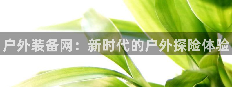 新宝gg总管
