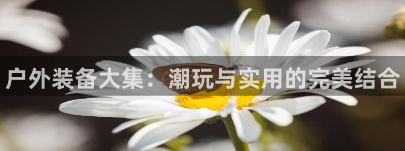 新宝GG手机客户端