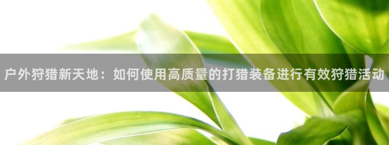 创造奇迹 新宝gg