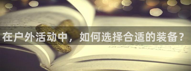 新宝_GG奇迹