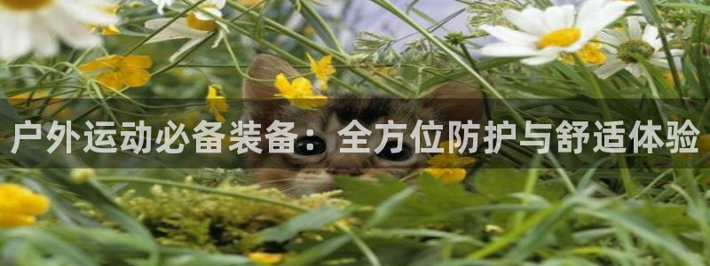 新宝gg待遇