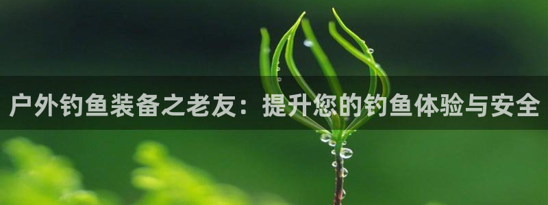 新宝gg总代理