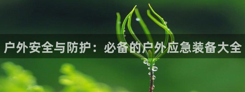 新宝GG 黑钱