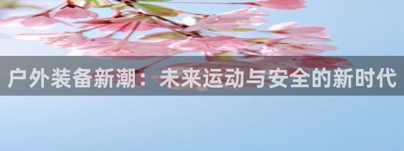 新宝gg漏洞