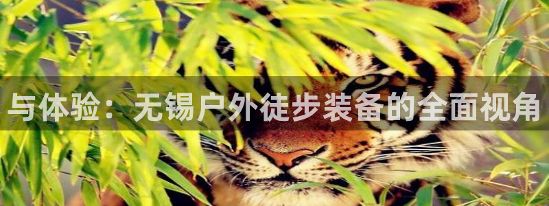 新宝gg游戏平台