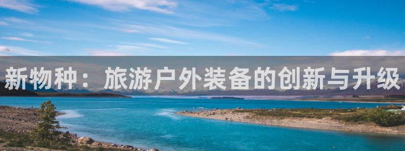 新宝gg如何注册登录