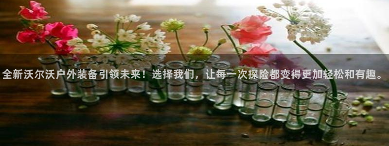 手机新宝gg