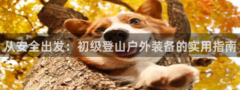 新宝 gg 总代理