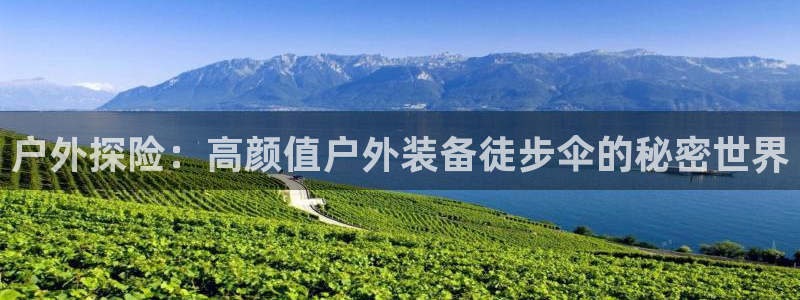 新宝GG最高返点多少