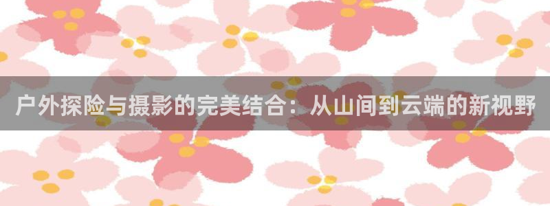 新宝gg盈亏