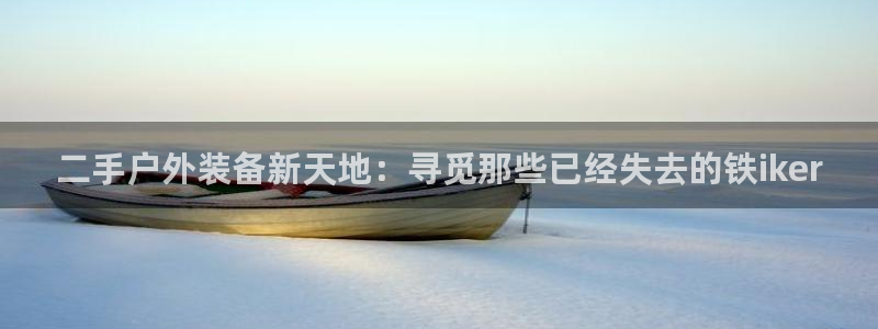 新宝gg什么