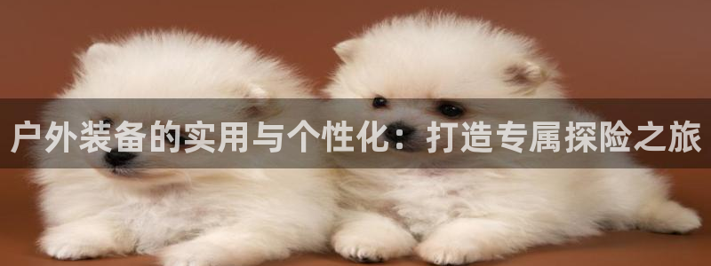 新宝gg娱乐vovq