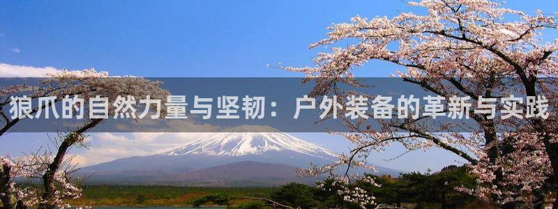 新宝gg登录链接