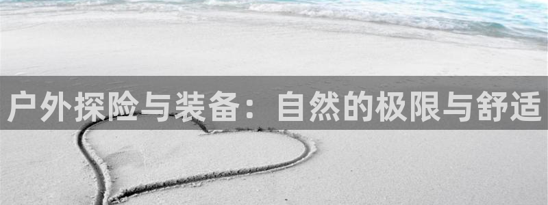 新宝gg分红