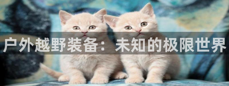 新宝娱gg