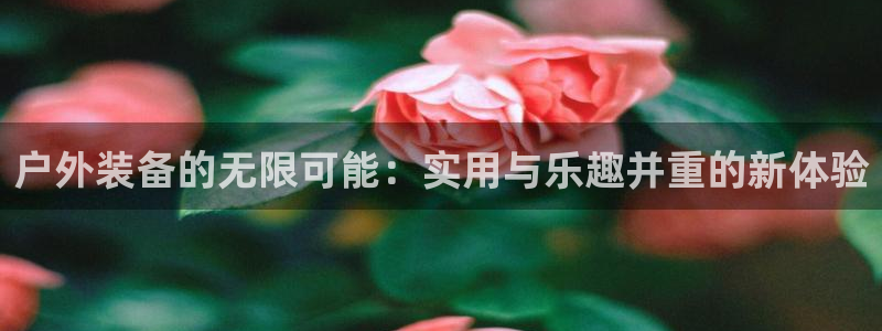 新宝gg开奖