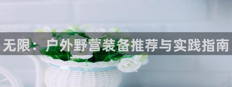 新宝gg怎样代理