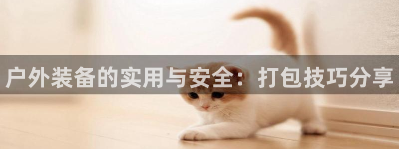 新宝gg app