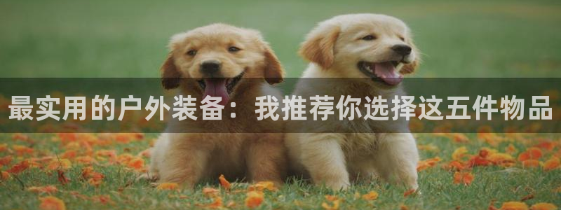 新宝 gg .com