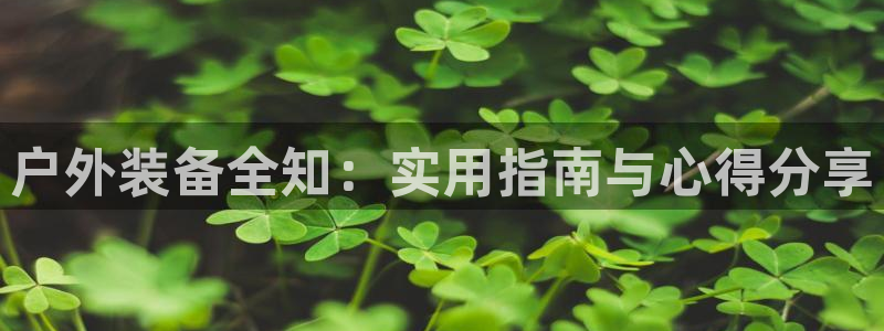新宝GG创造奇
