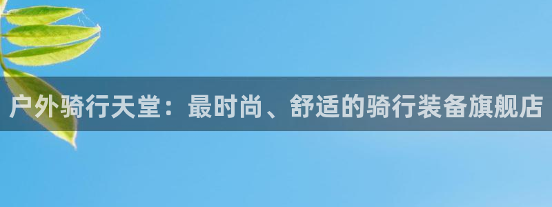 新宝gg如何