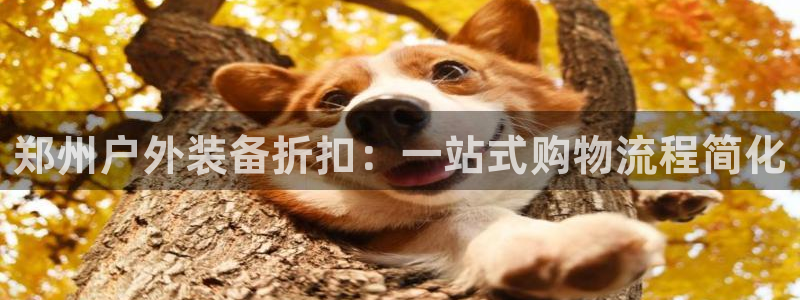 新宝gg网投