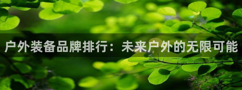新宝GG绿色