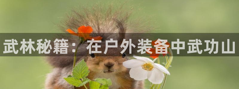 谁有新宝GG