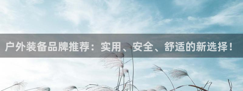 新宝gg合作