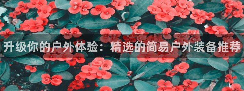 新宝gg代