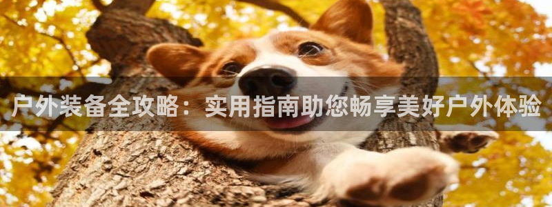 新宝gg合法吗