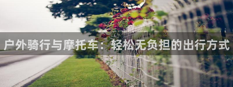 新宝gg主管开