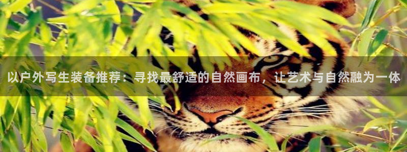 新宝gg黑平台